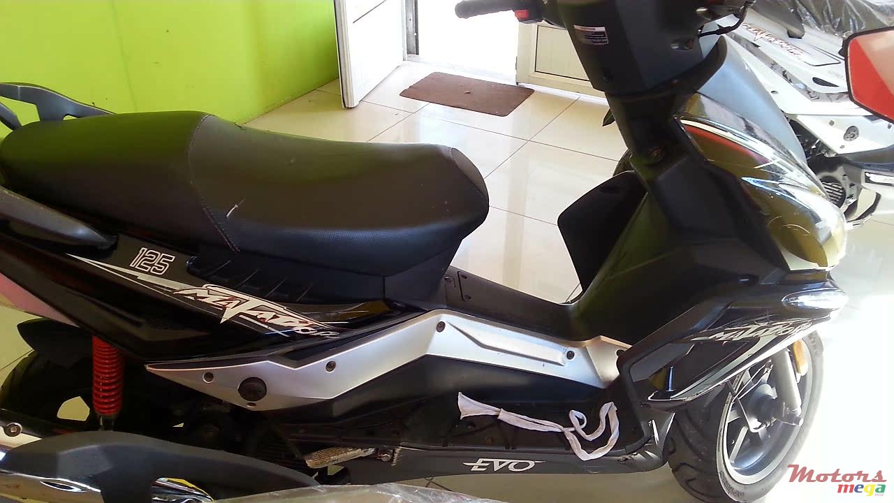 2011' Matador photo #1