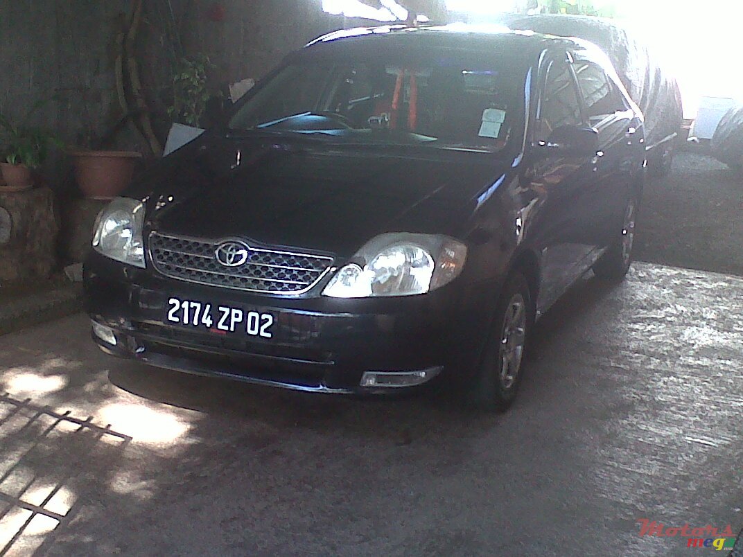 2002' Toyota Corolla photo #1