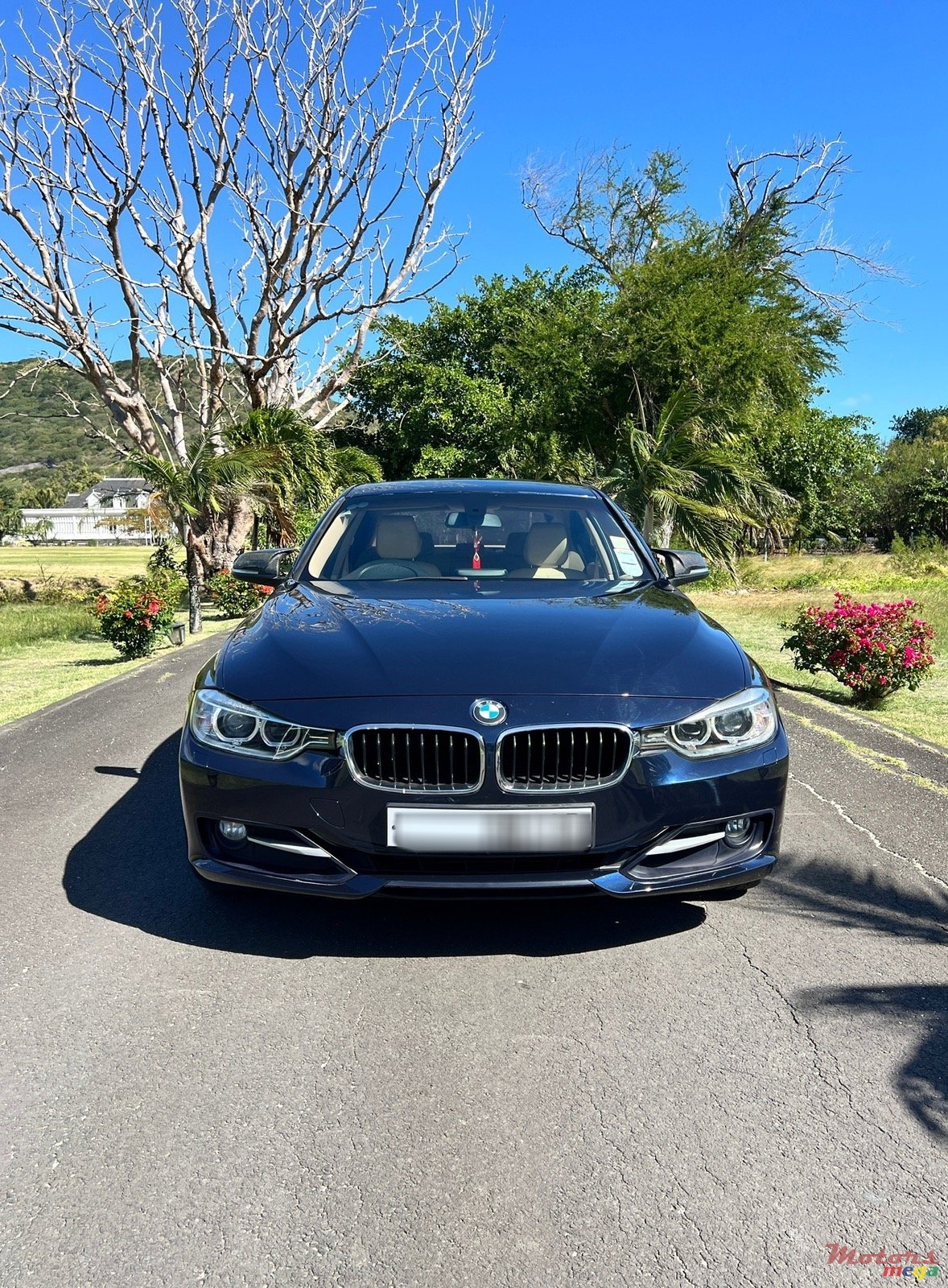 2013' BMW 316 photo #1