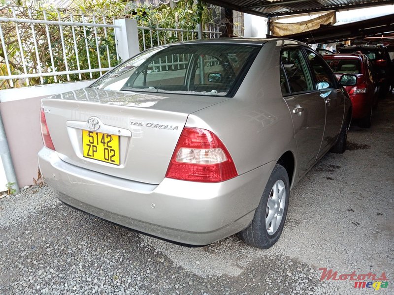 2002' Toyota Corolla photo #7