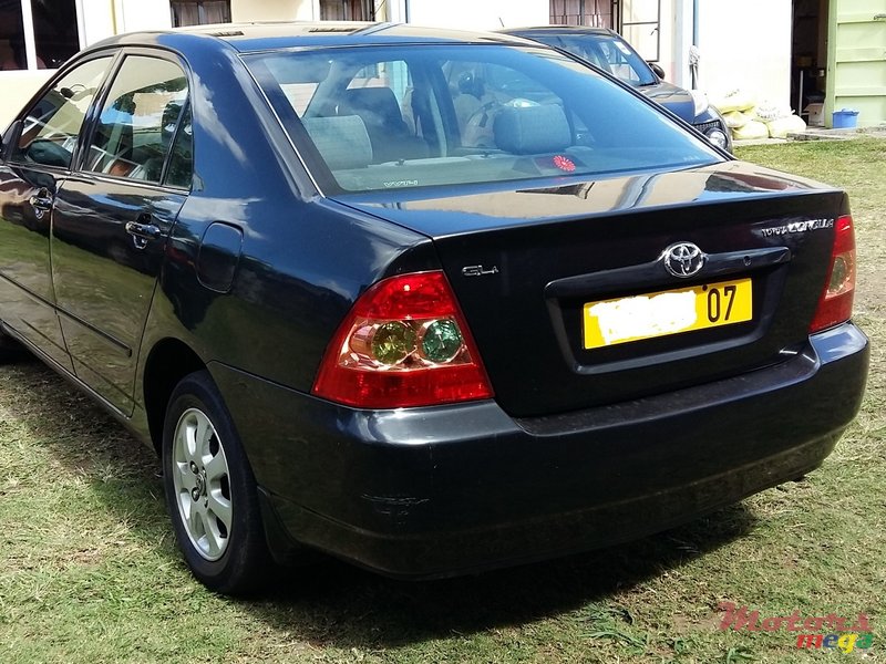 2007' Toyota Corolla NZE photo #4