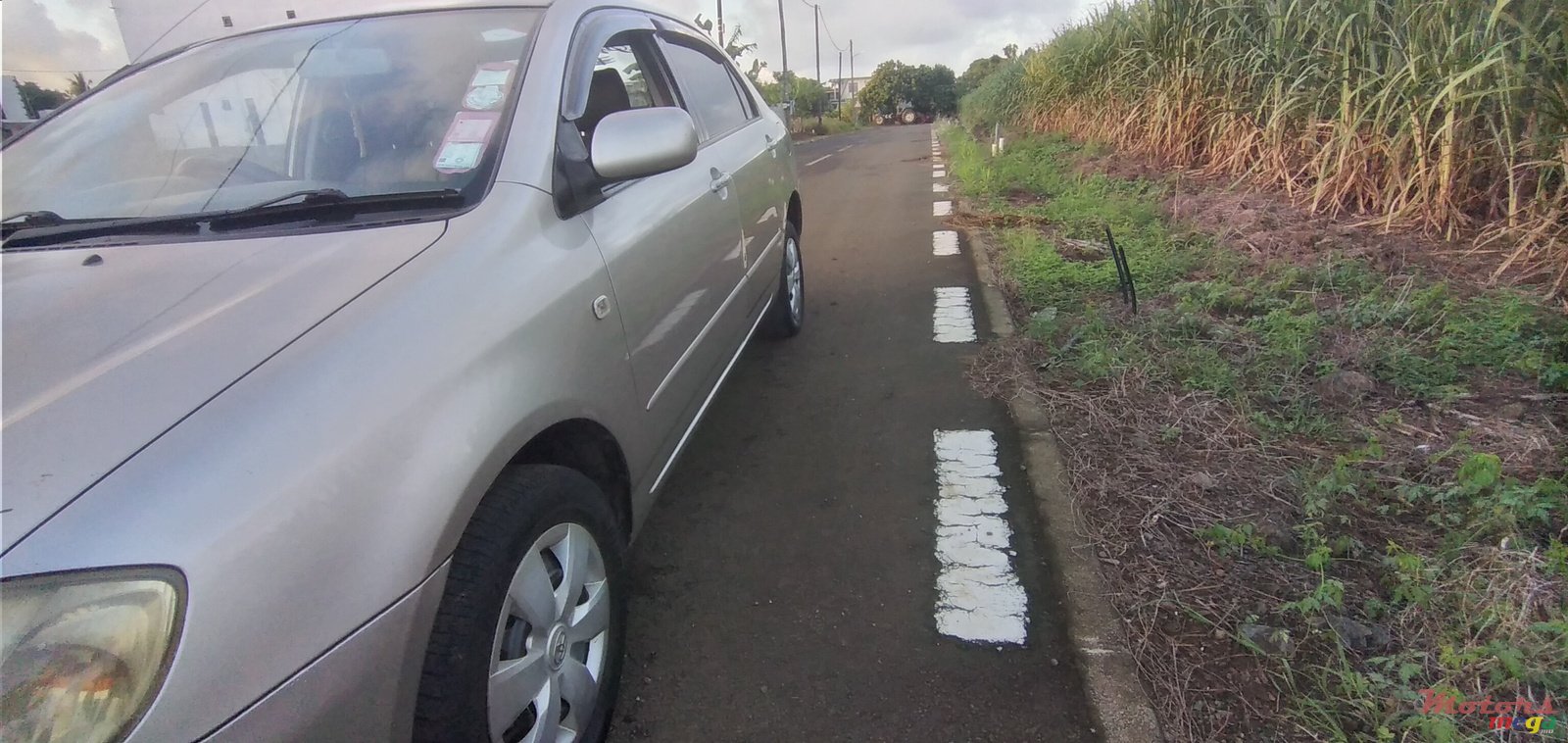 2003' Toyota Corolla photo #4