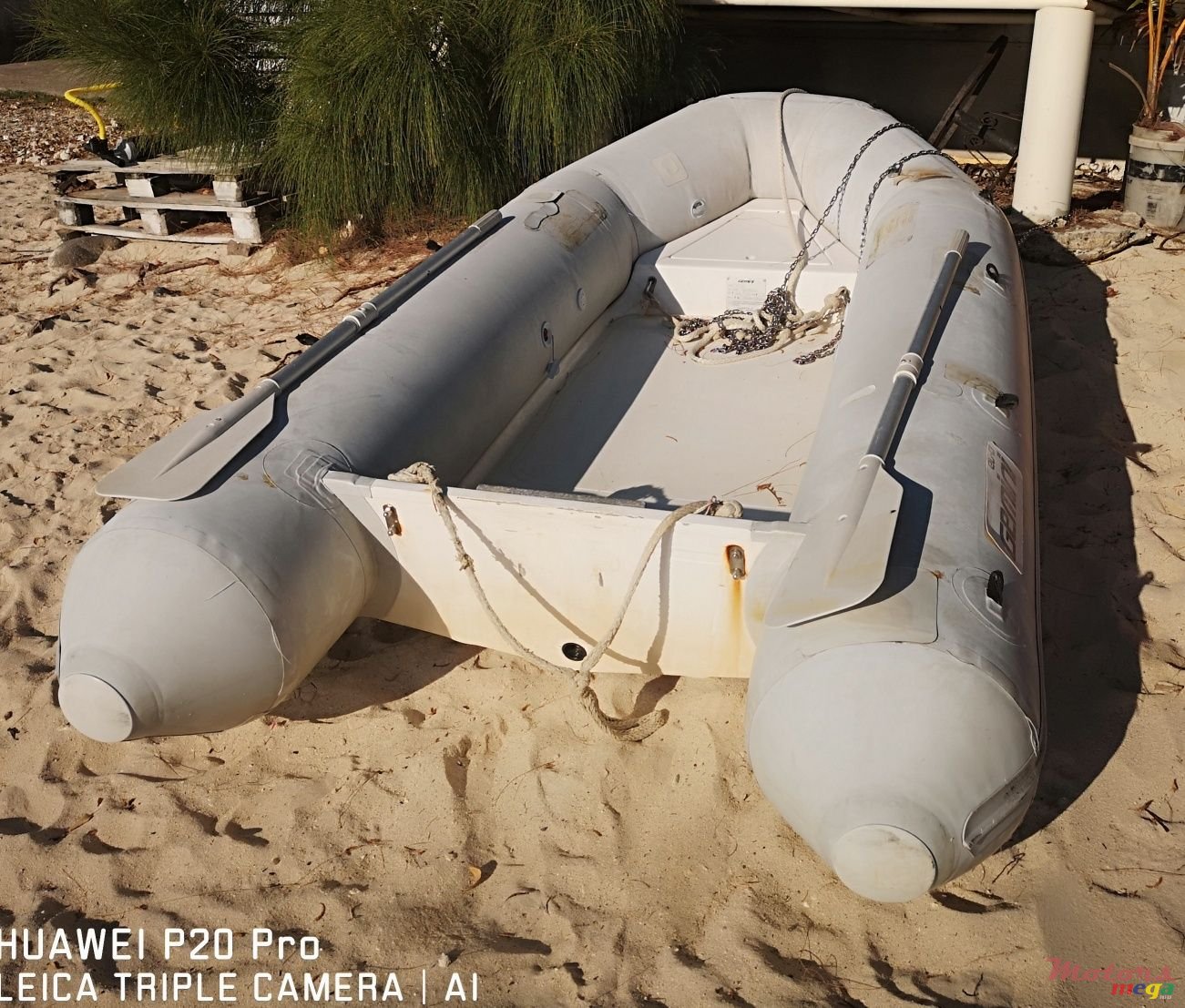 2012' Zodiac photo #2