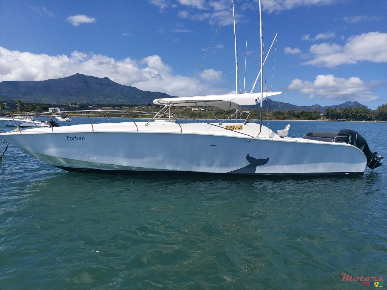 2008' Arrow photo #1