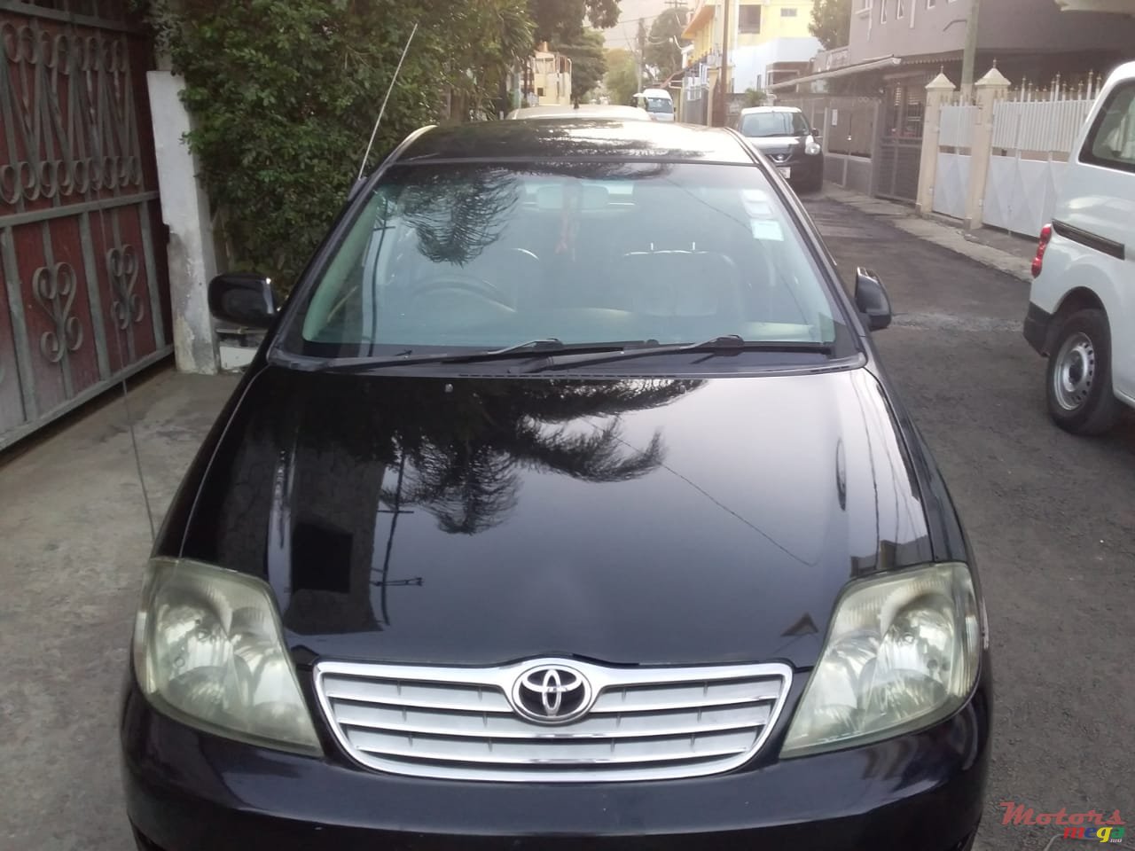 2002' Toyota Corolla photo #3