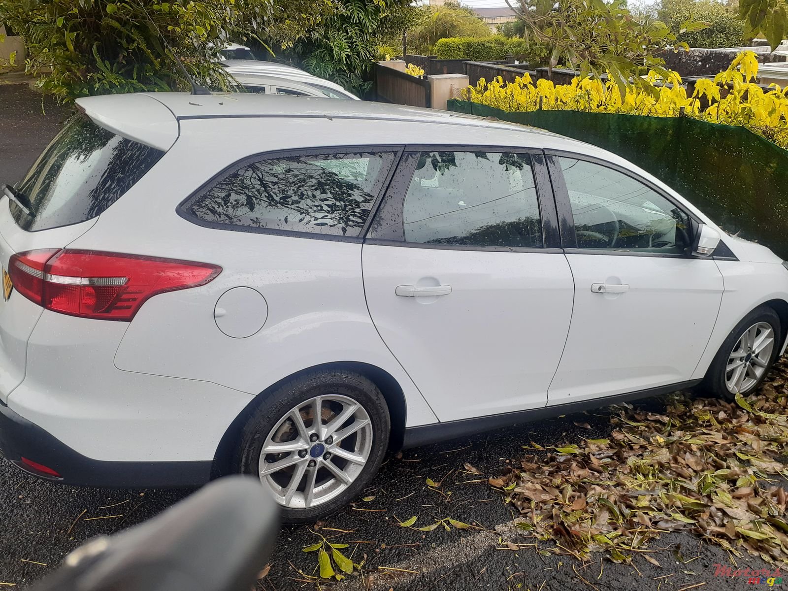 2017' Ford Focus photo #2