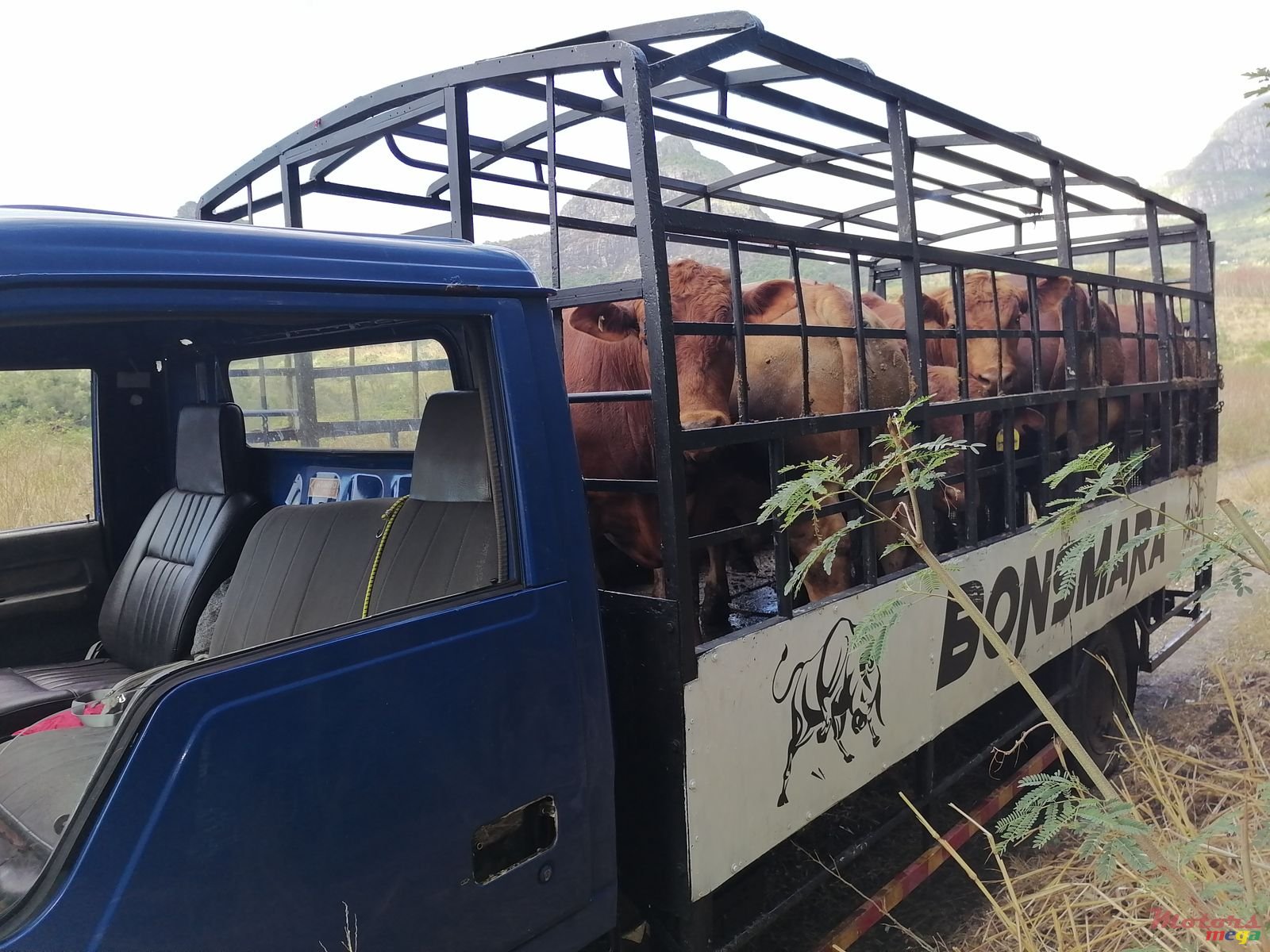 1994' Mitsubishi photo #2