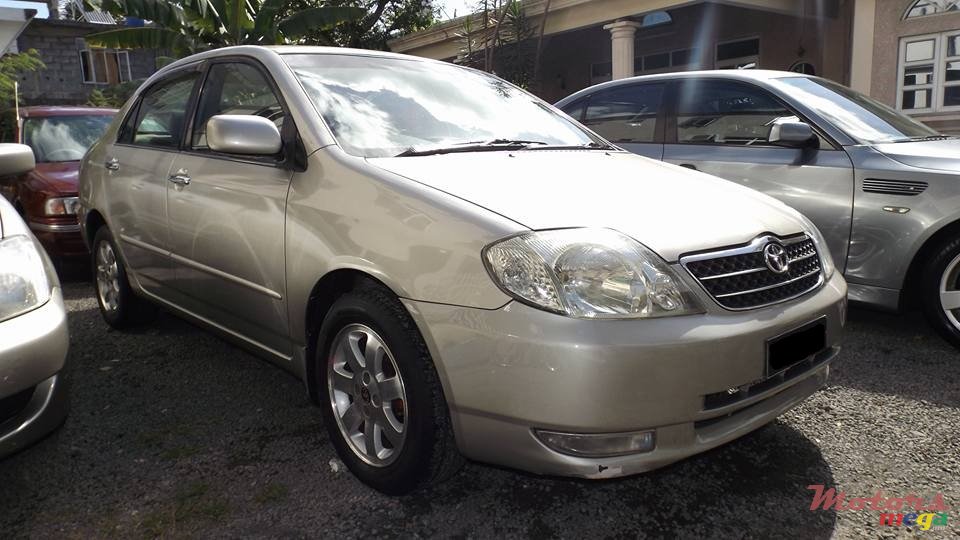 2002' Toyota Corolla NZE photo #1