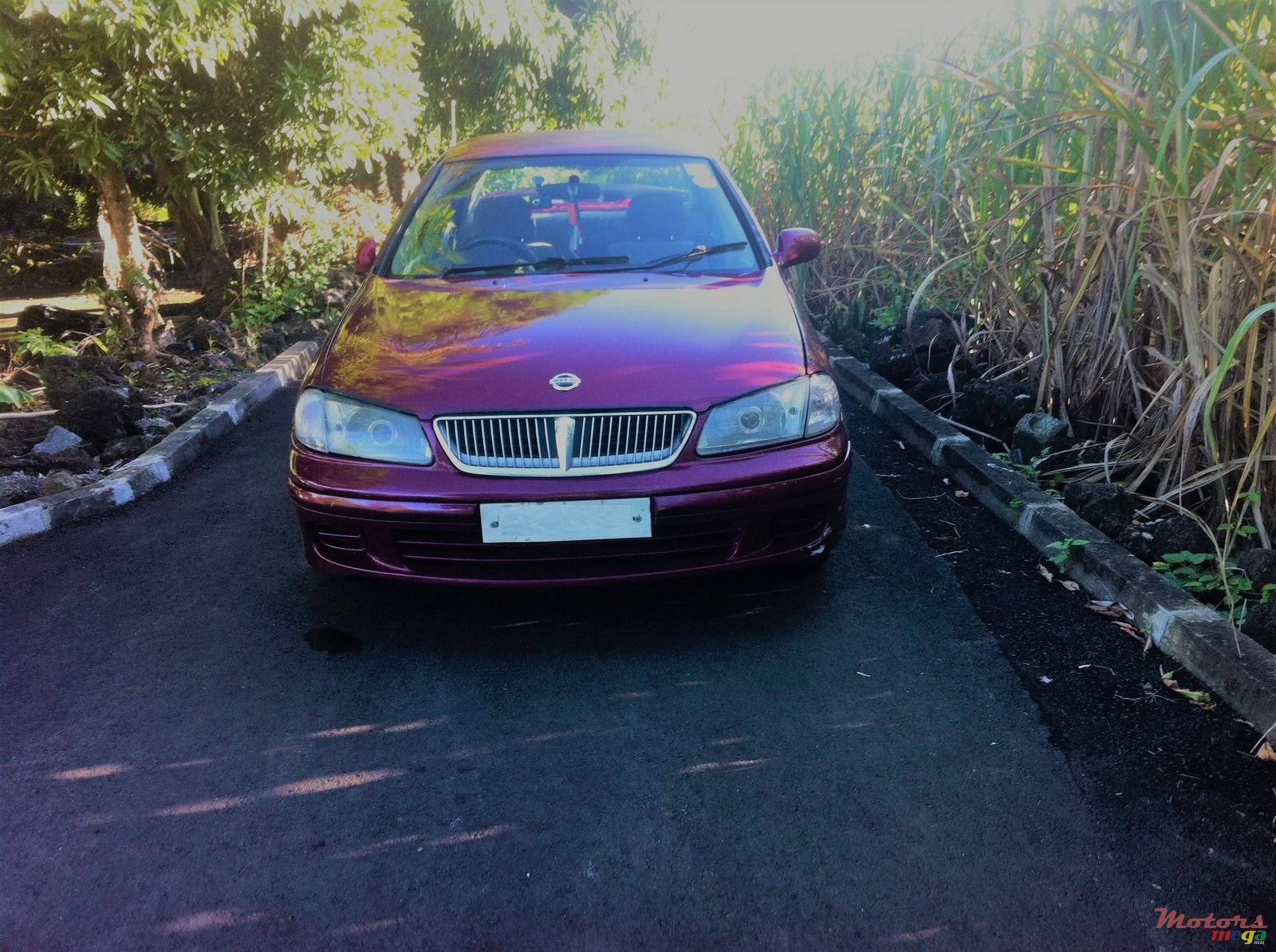 2001' Nissan Sunny photo #2