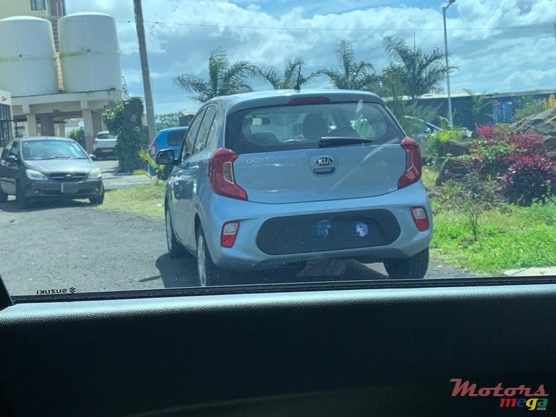 2019' Kia Picanto photo #1