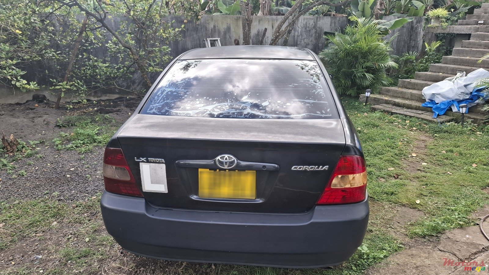 2001' Toyota Corolla photo #3