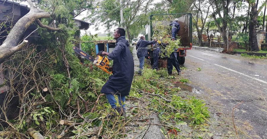 Road cleaning after Batsirai, Mauritius