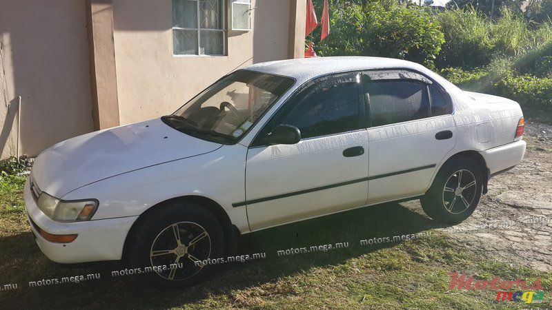 1995' Toyota Corolla photo #1
