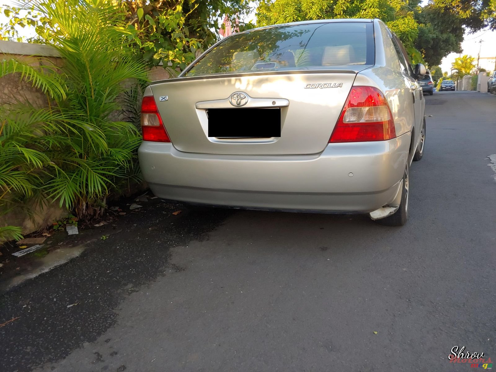 2001' Toyota Corolla NZE Grade x photo #2