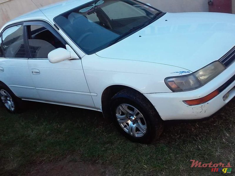 1992' Toyota Corolla EE 101 photo #1