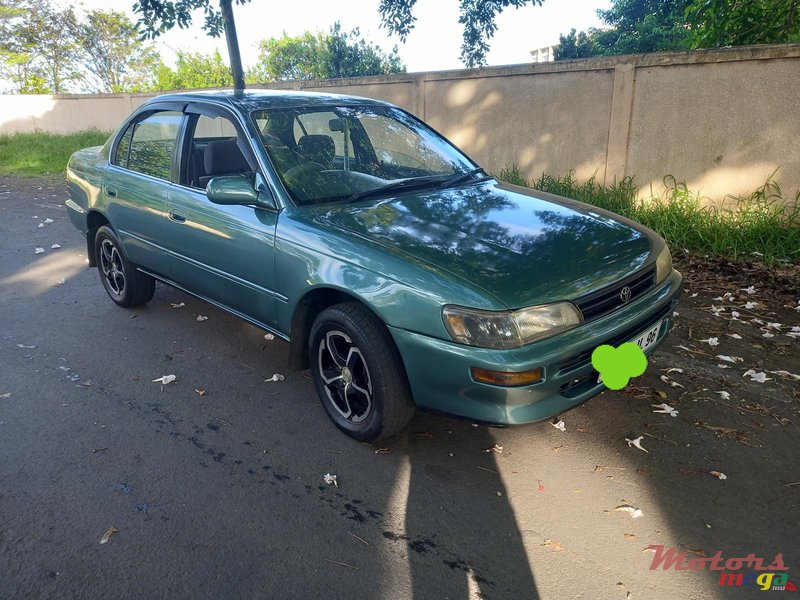 1996' Toyota Corolla photo #1