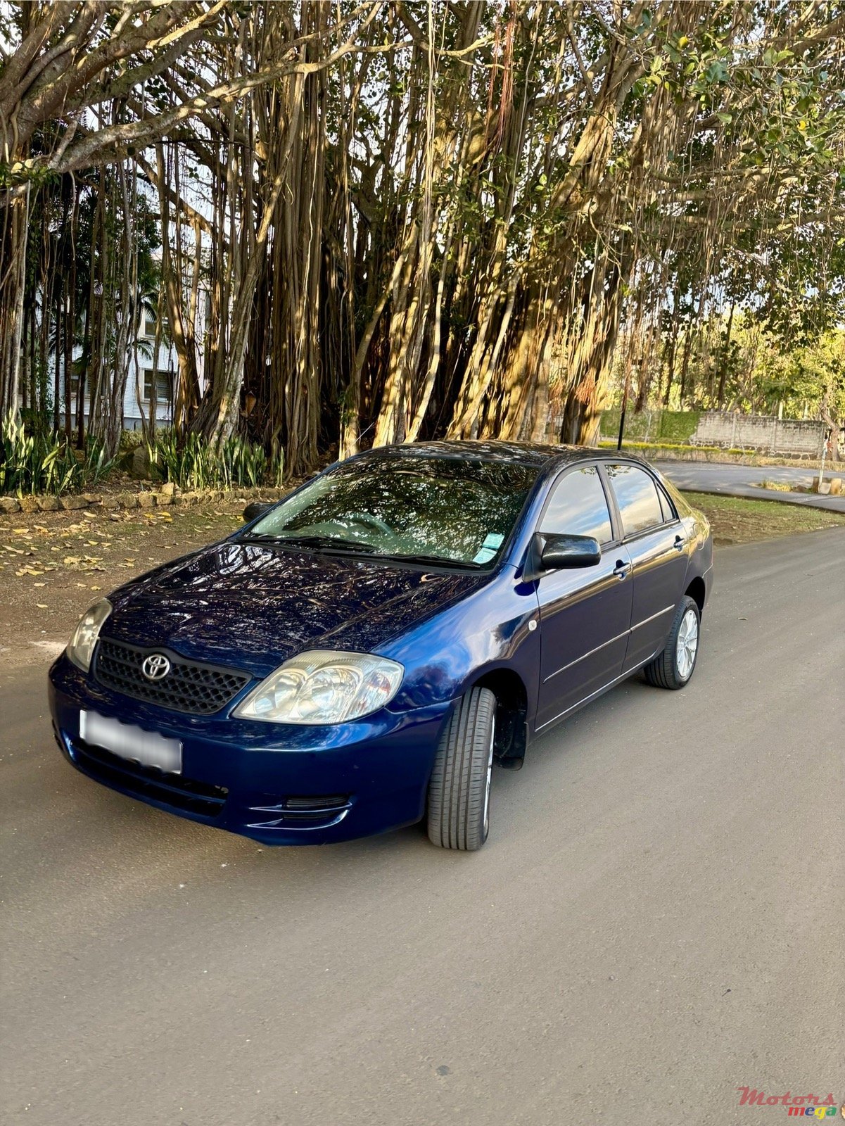 2004' Toyota Corolla NZE photo #2