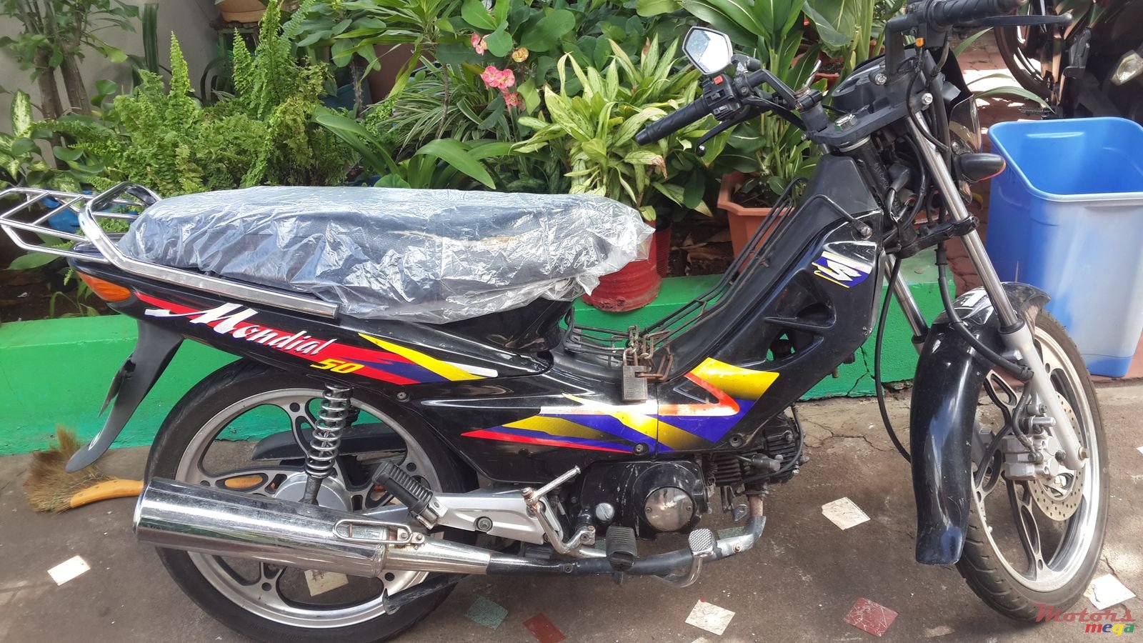 2013' Ayusta photo #2