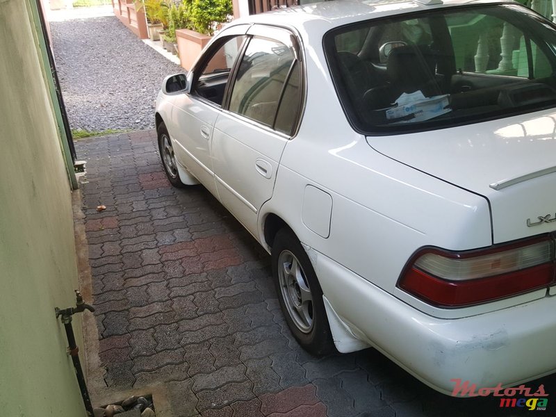 1993' Toyota Corolla EE101 photo #1