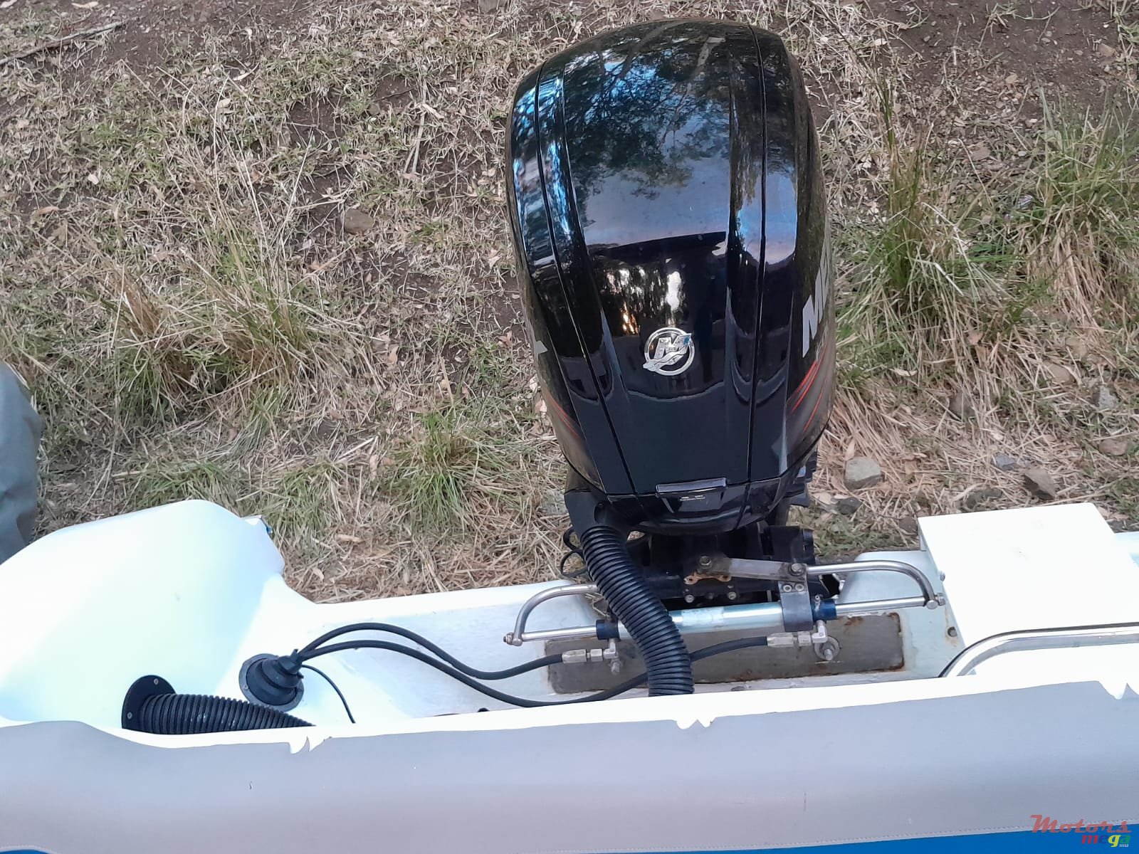 2008' Tremlett photo #2