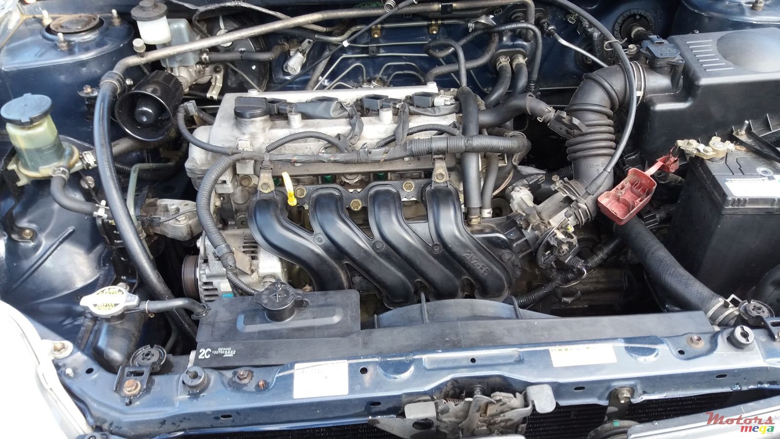 2002' Toyota Corolla photo #7