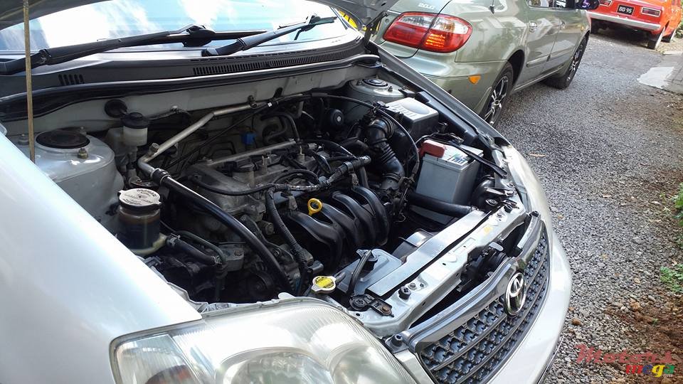 2004' Toyota Corolla GLI photo #7