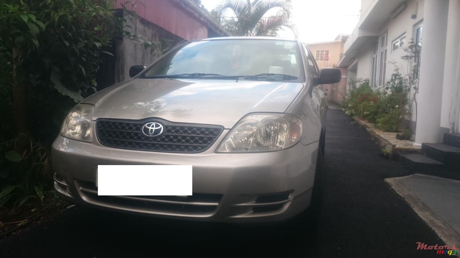 2004' Toyota Corolla NZE GLI photo #1