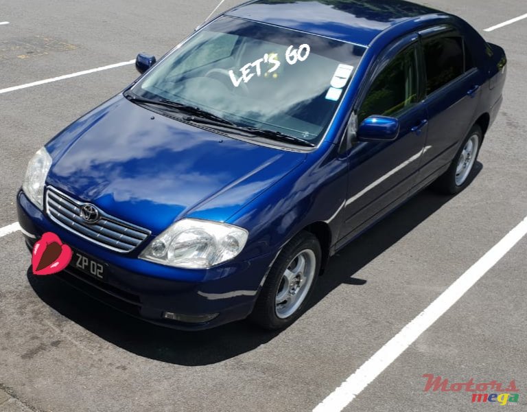 2002' Toyota Corolla photo #4