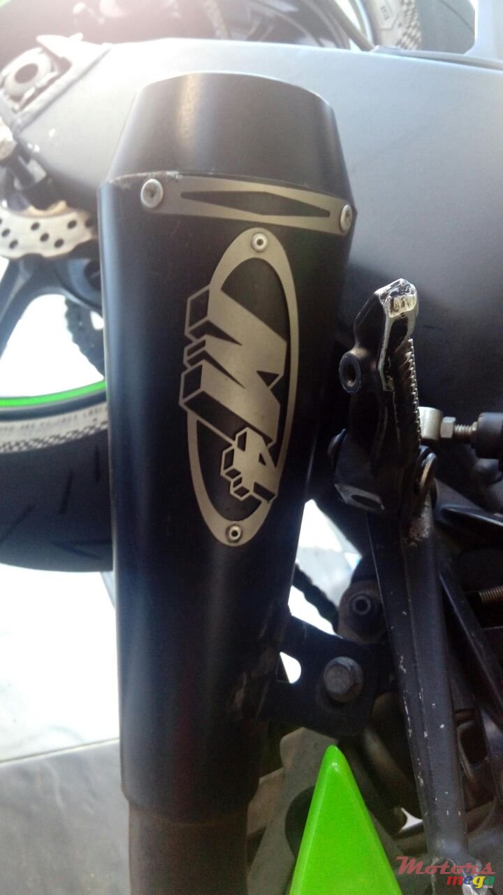 2010' Kawasaki Angel. Eyes photo #6