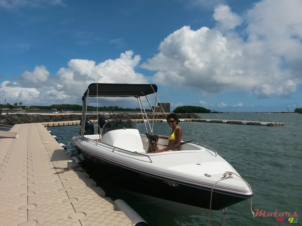 2015' Cobra photo #2