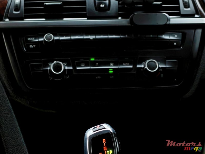 2014' BMW 316 photo #6