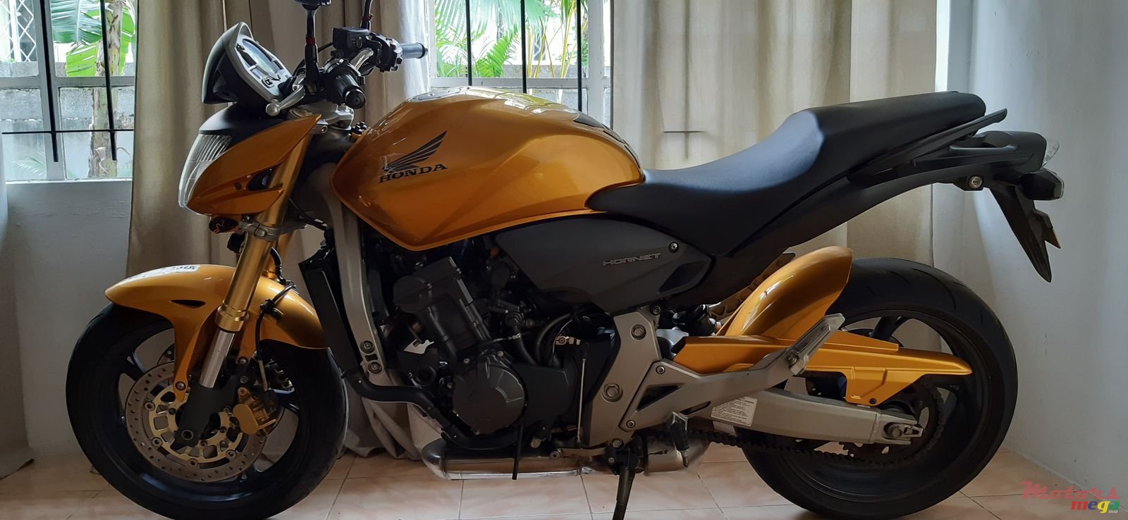 2009' Honda photo #1