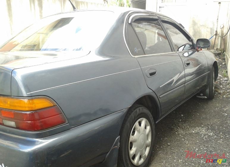 1993' Toyota Corolla EE101 photo #2