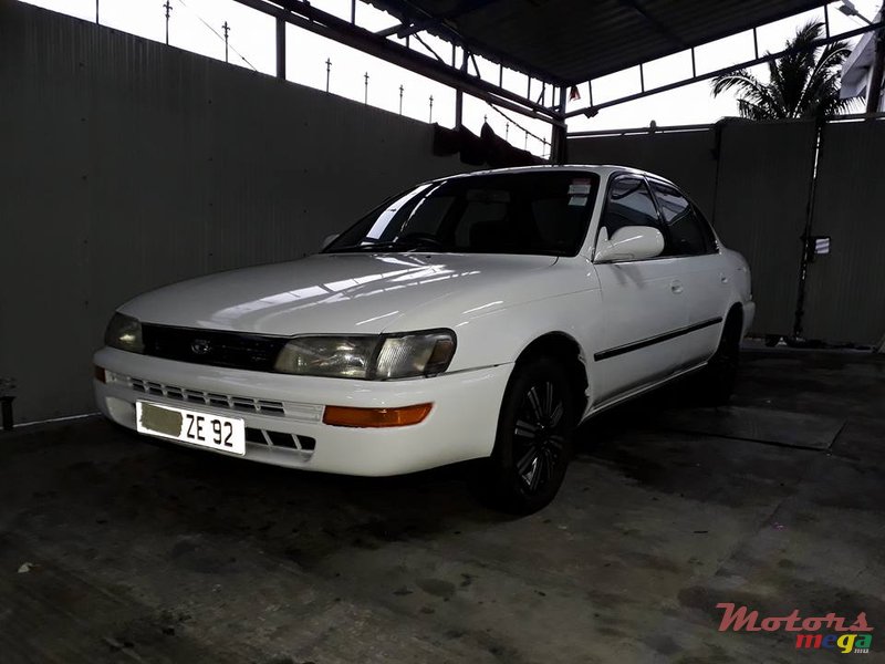 1992' Toyota Corolla EE101 photo #1