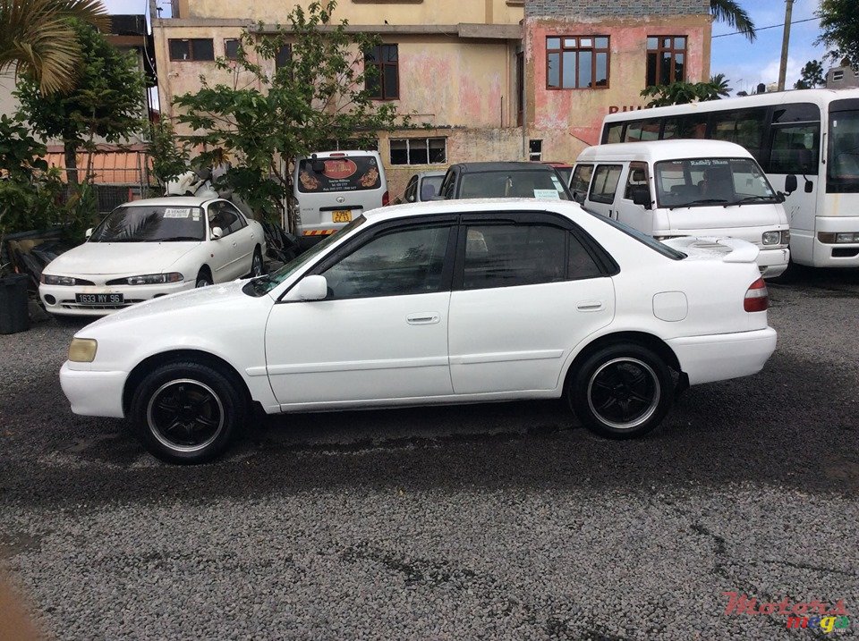 1999' Toyota Corolla E113 photo #4