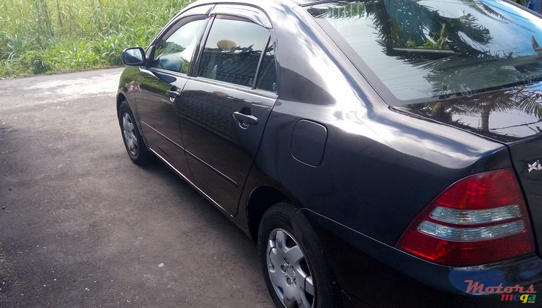 2003' Toyota Corolla photo #3