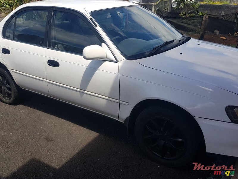 1992' Toyota Corolla ee101 photo #2