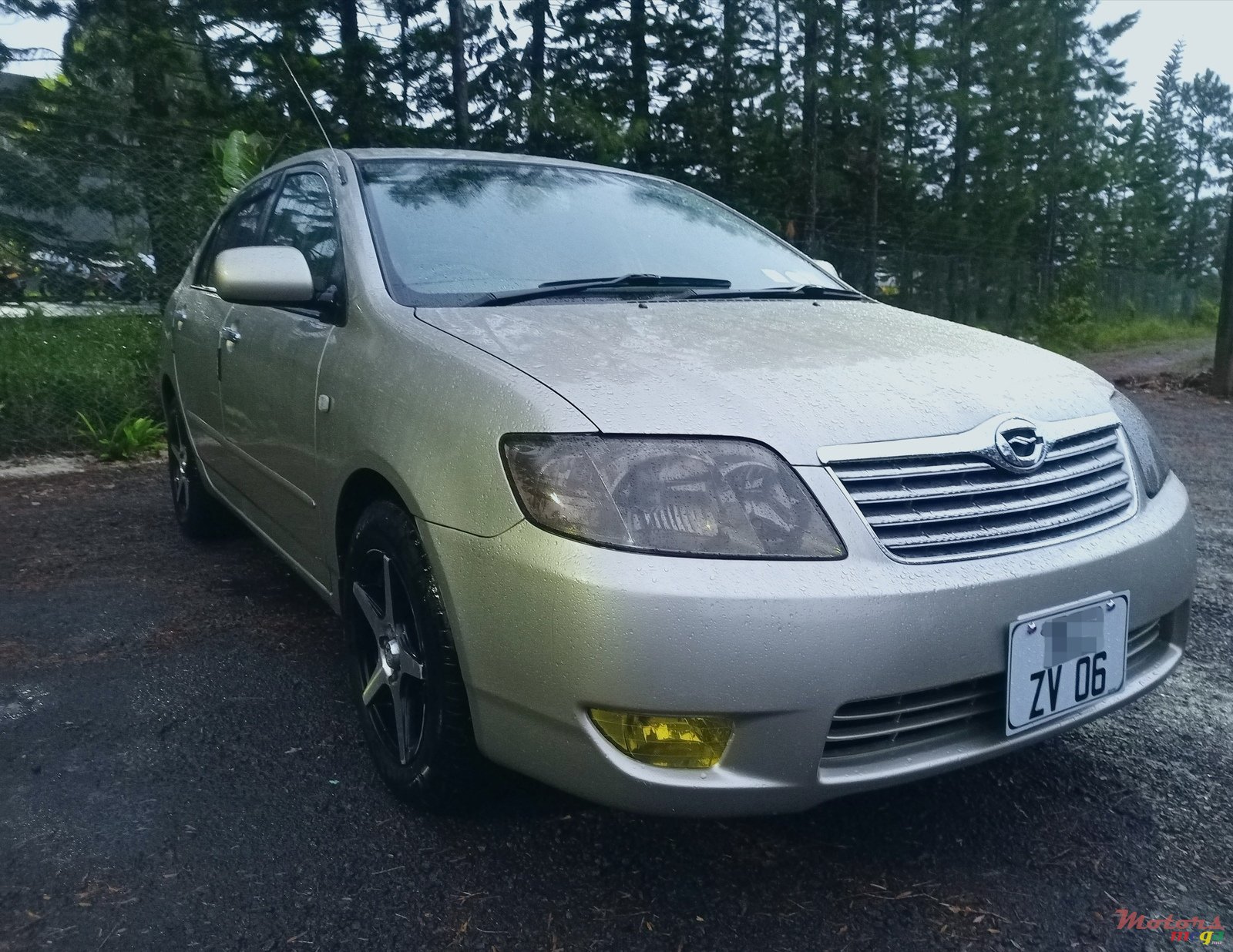 2006' Toyota Corolla NZE photo #1