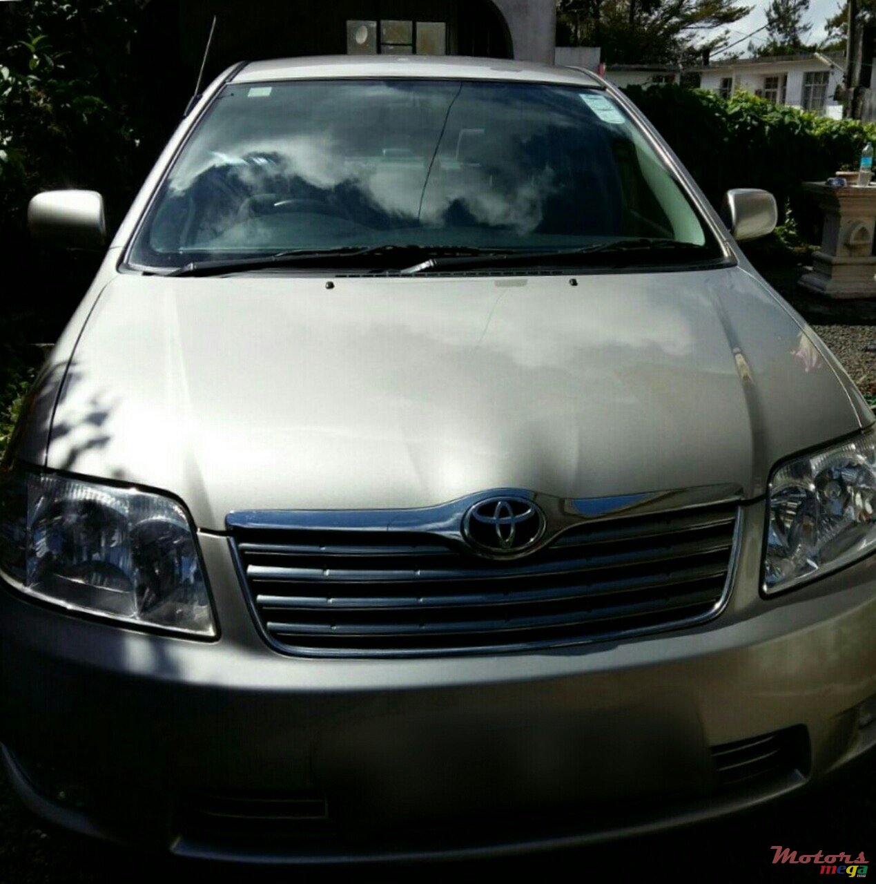 2007' Toyota Corolla photo #2