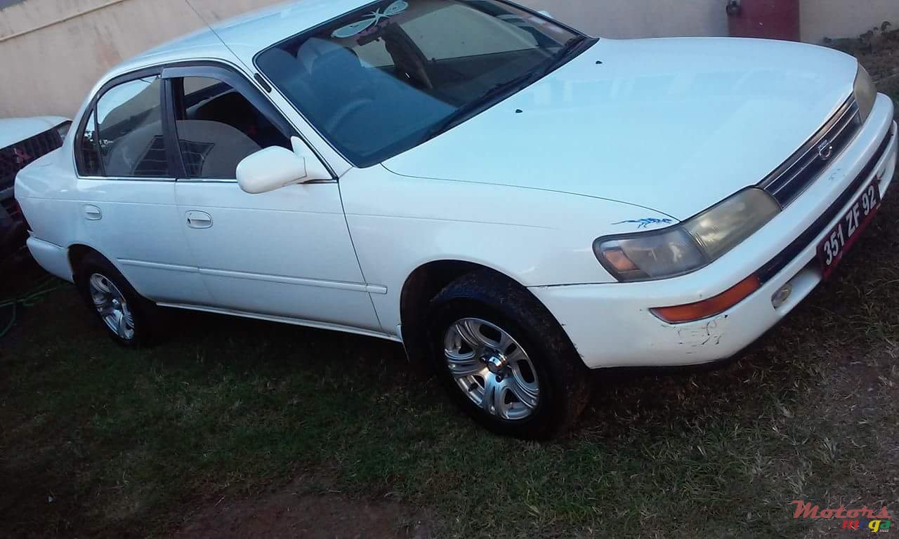 1992' Toyota Corolla EE 101 photo #1
