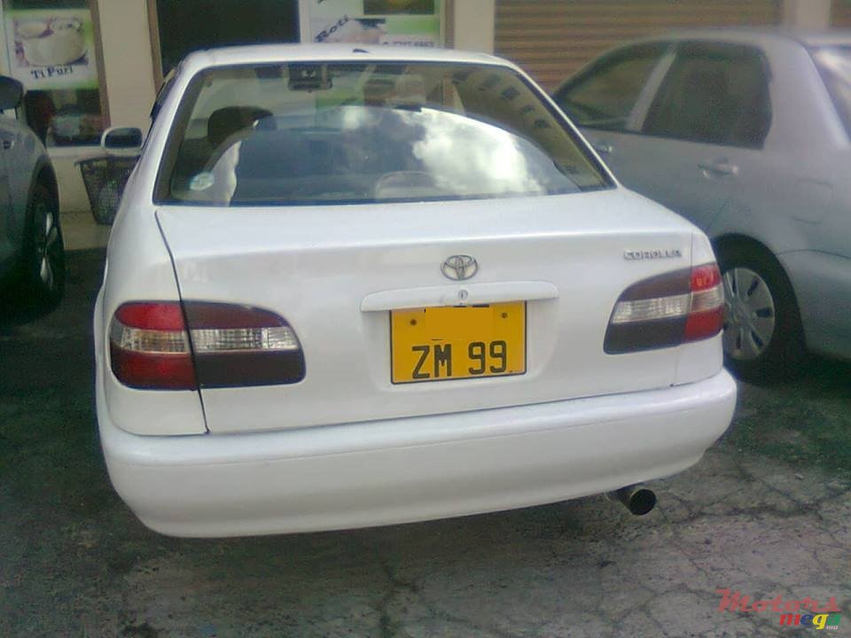 1999' Toyota Corolla photo #1