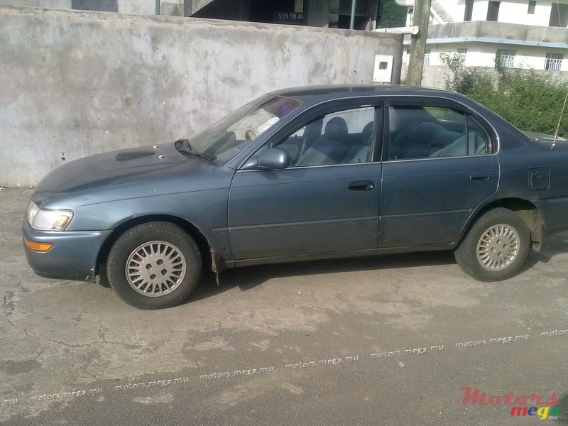 1992' Toyota Corolla photo #2