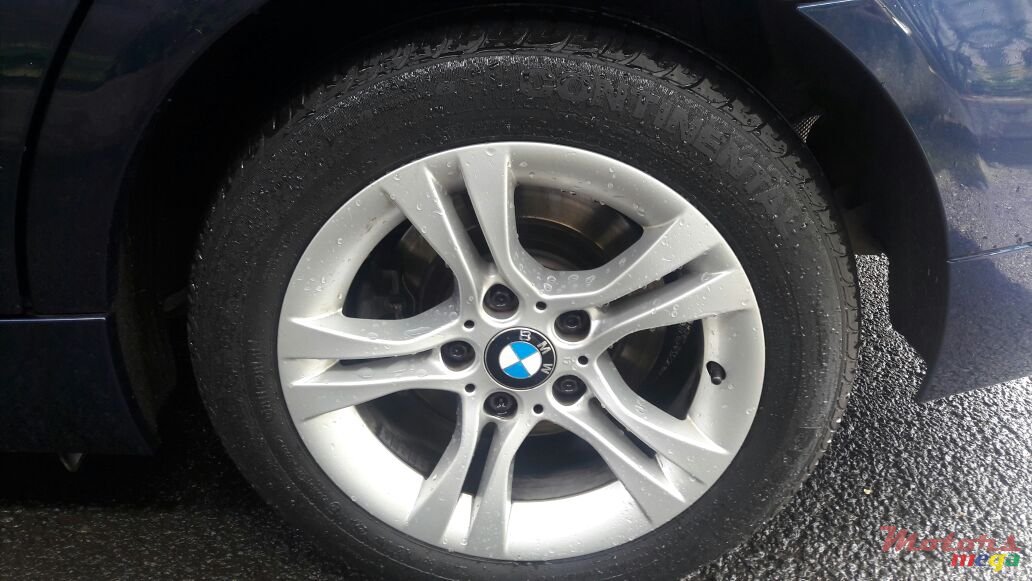 2010' BMW 320 photo #5