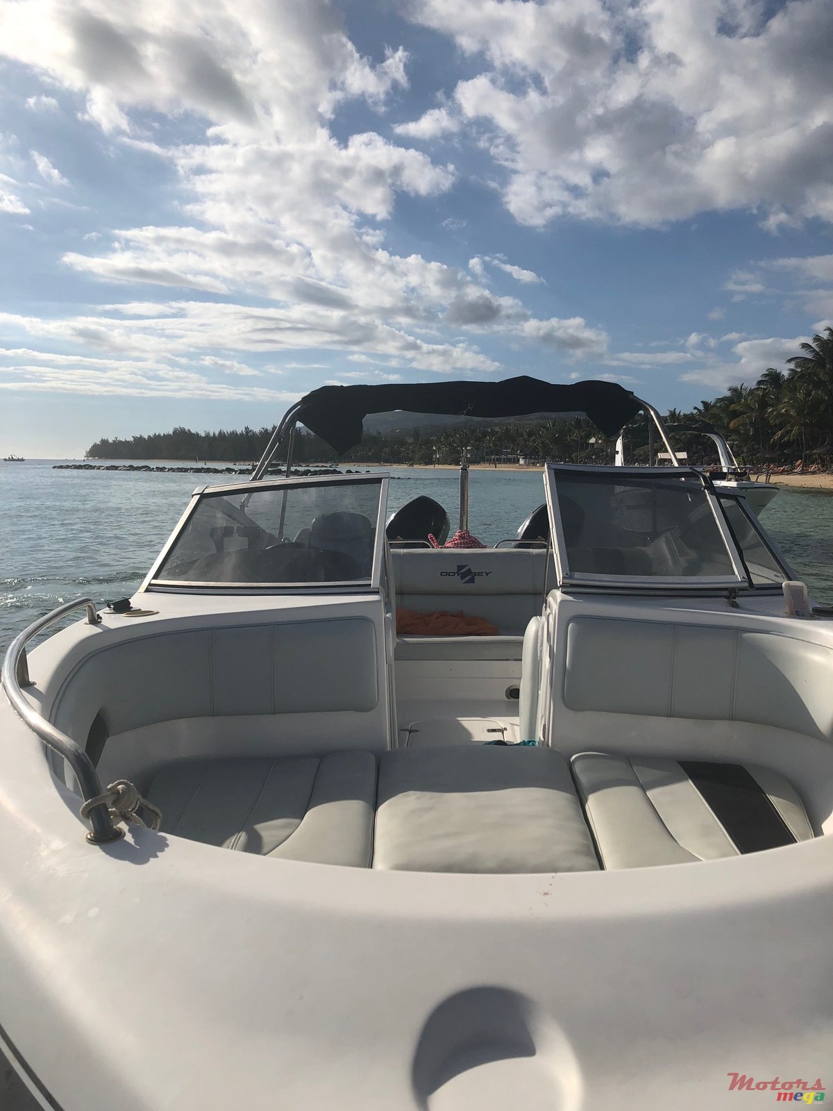 2014' Alfamarine photo #2