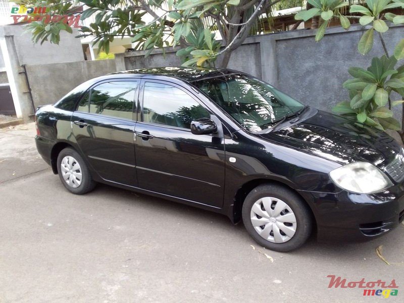 2002' Toyota Corolla photo #1