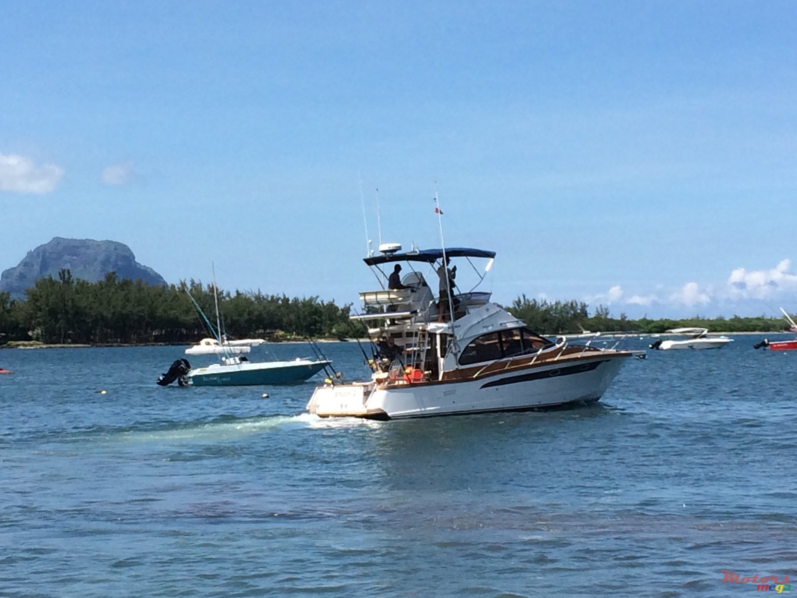 2010' Legend photo #1