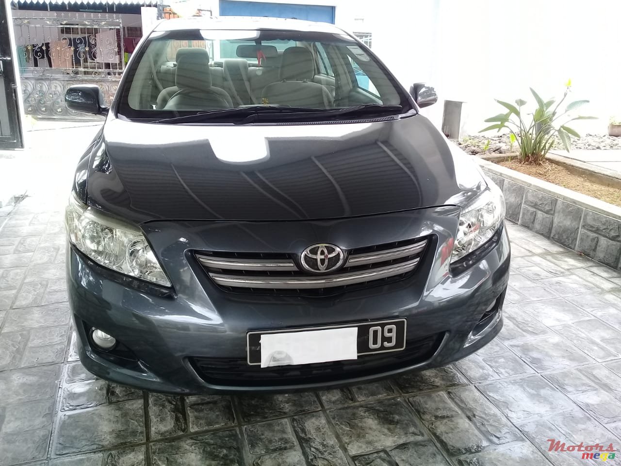 2009' Toyota Corolla GLI photo #3