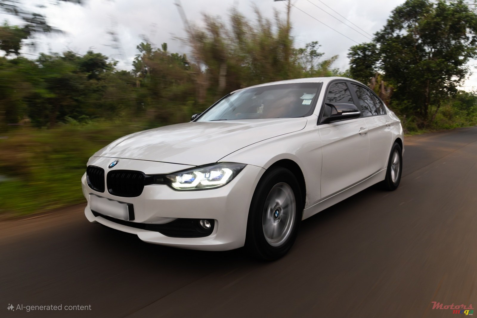 2013' BMW 316 photo #1