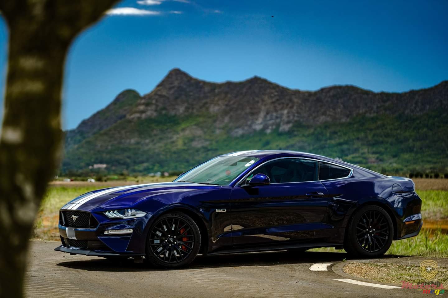 2019' Ford Mustang GT 5.0 V8 Premium Plus photo #2