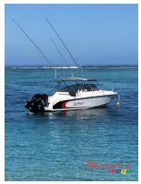 2016' Sport Fish photo #3